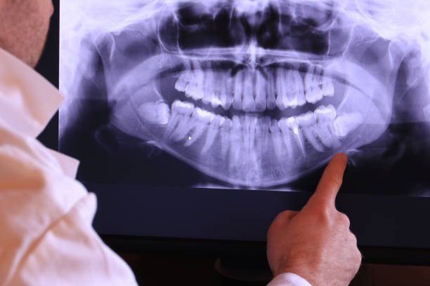 Best Emergency X-Rays and Diagnostics in Alvarado, TX